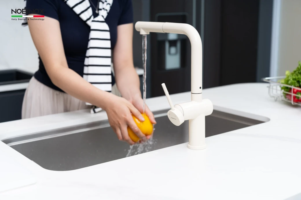 Vòi rửa bát dây rút Nobinox BIANCO NX602